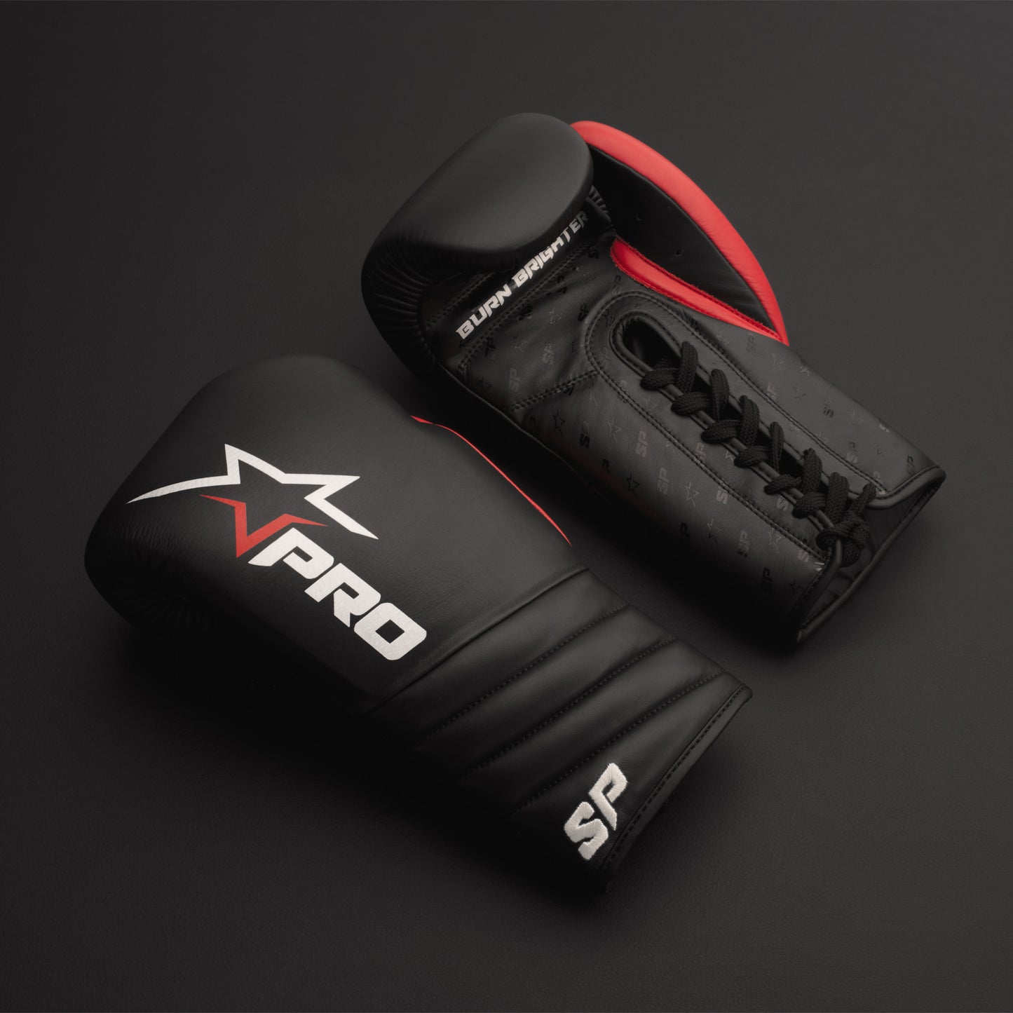 Professional Fight Gloves