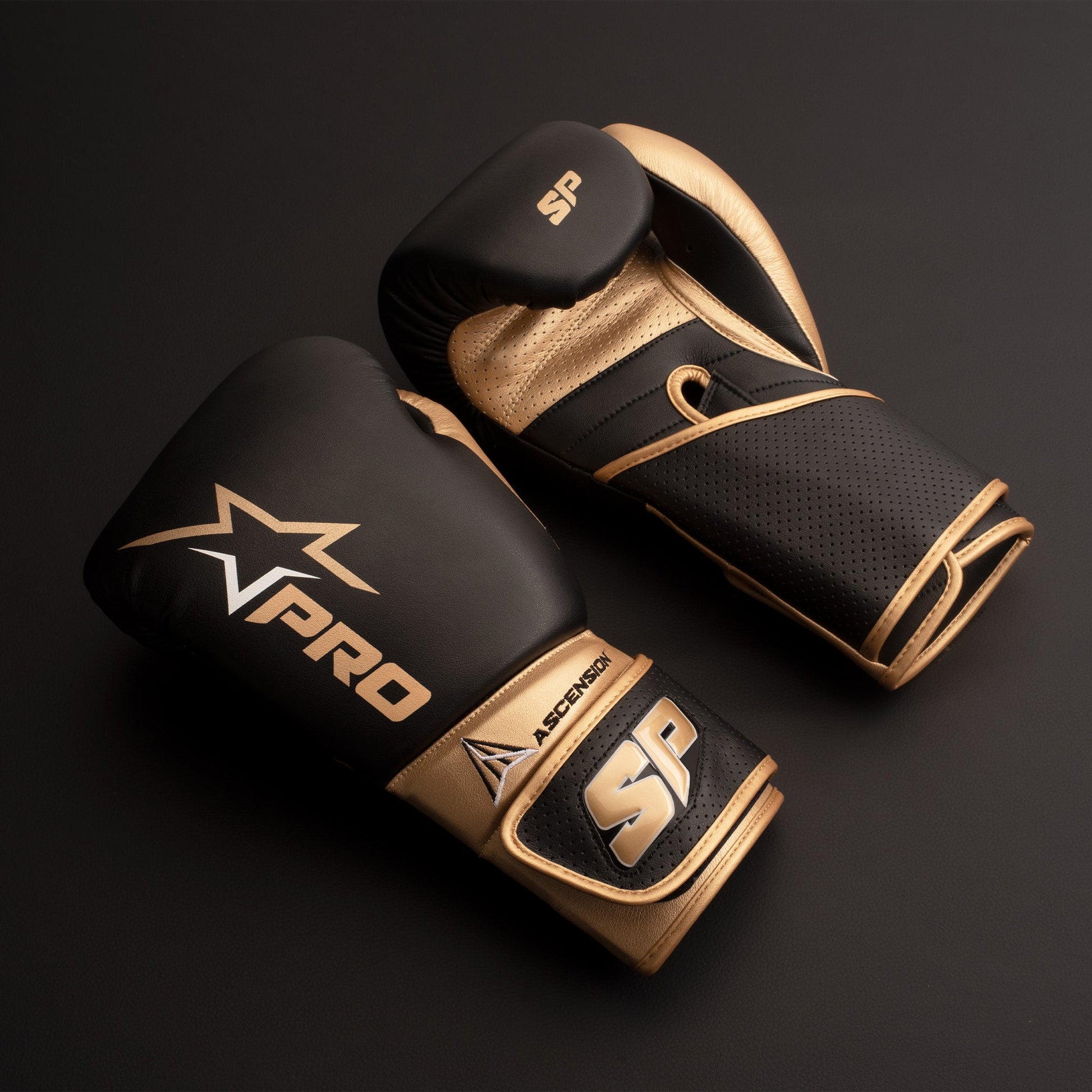 Ascension Training Gloves - Starpro Combat