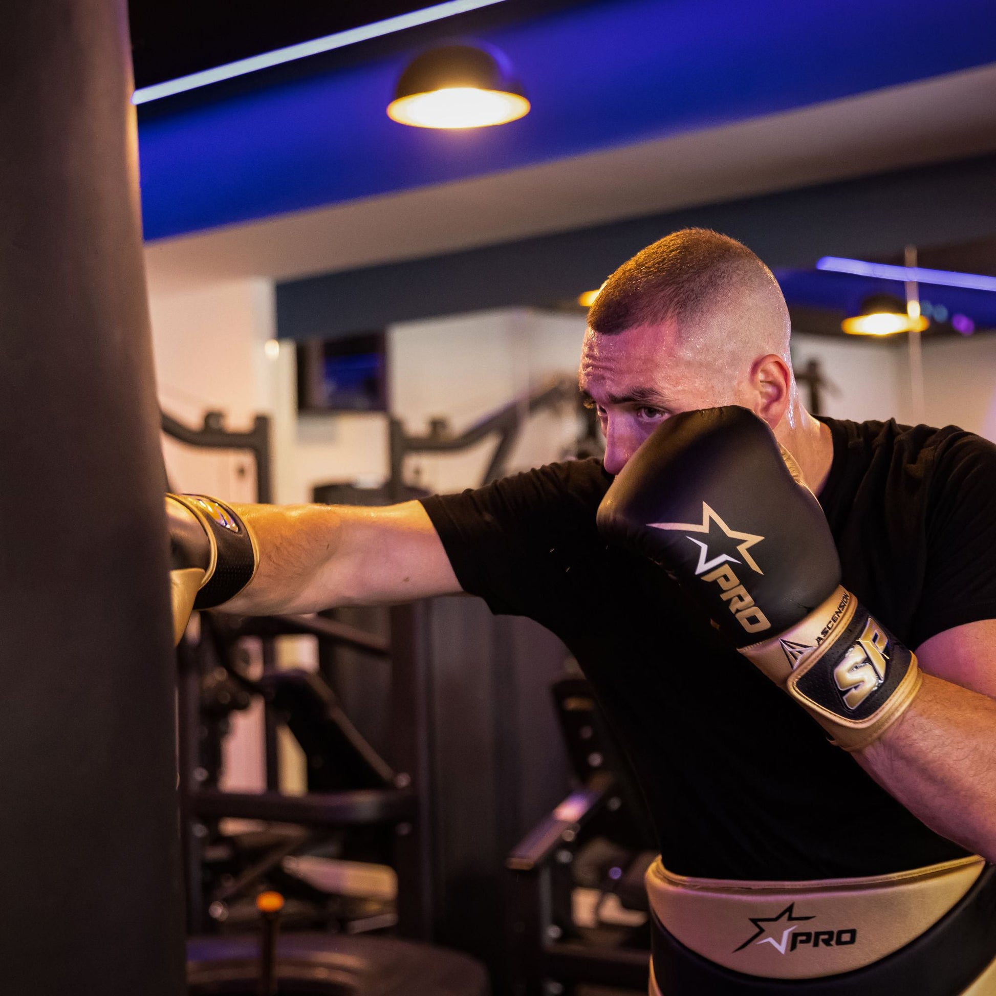 Ascension Training Gloves - Starpro Combat