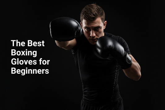 Best Boxing Gloves for Beginners