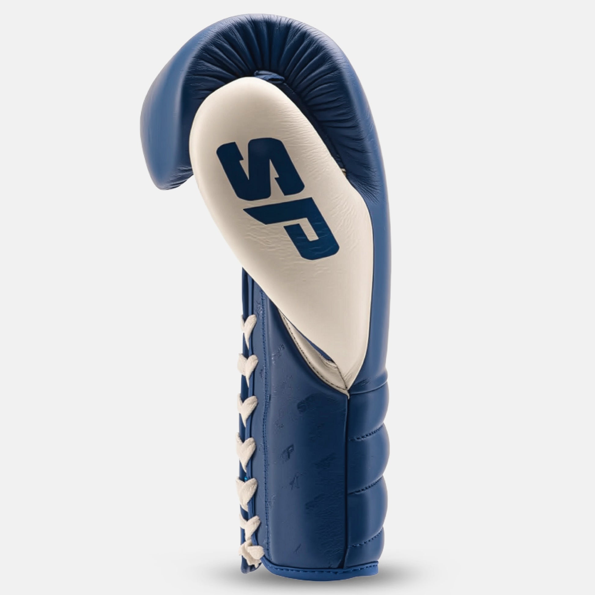 Professional Fight Gloves Blue