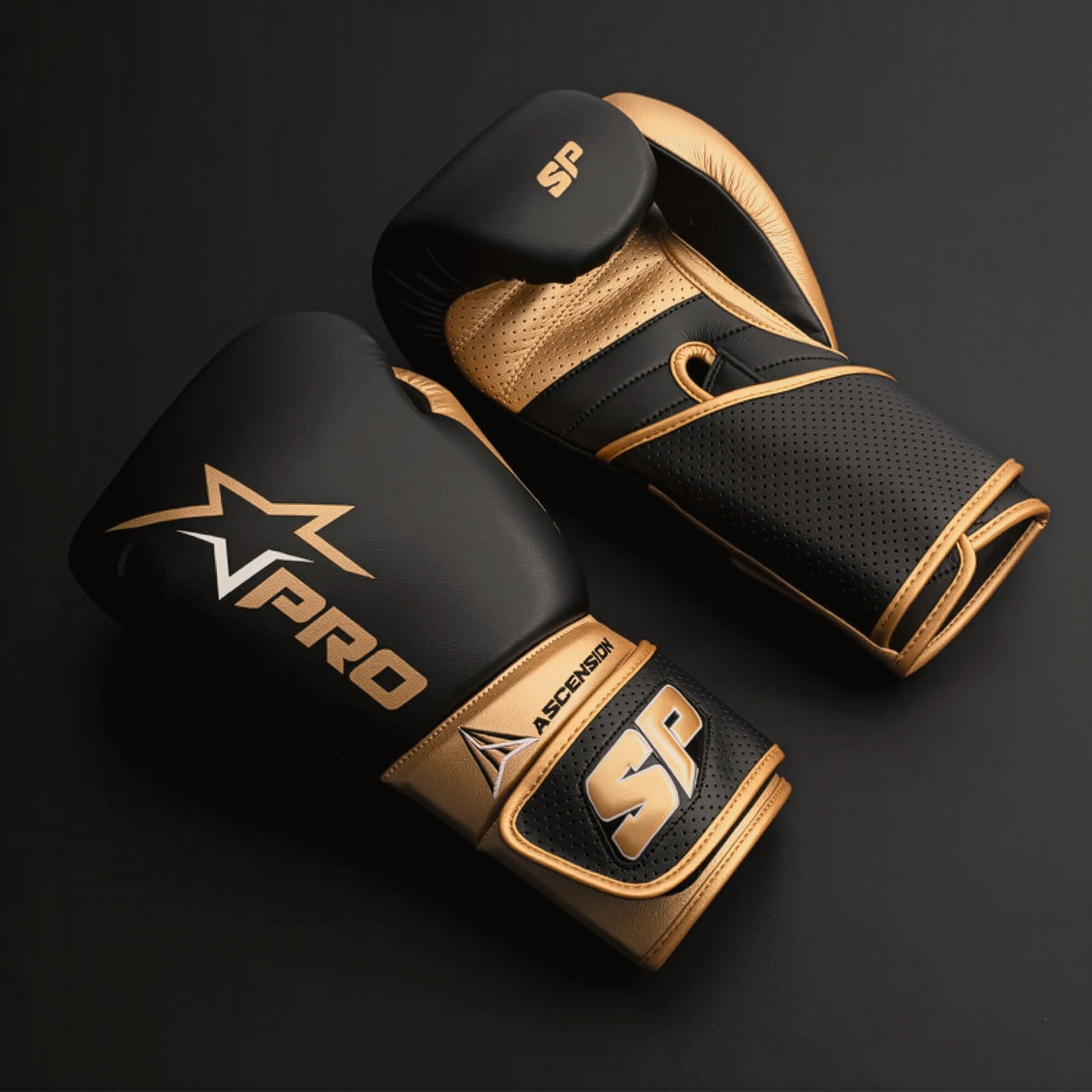 Ascension Training Gloves Black