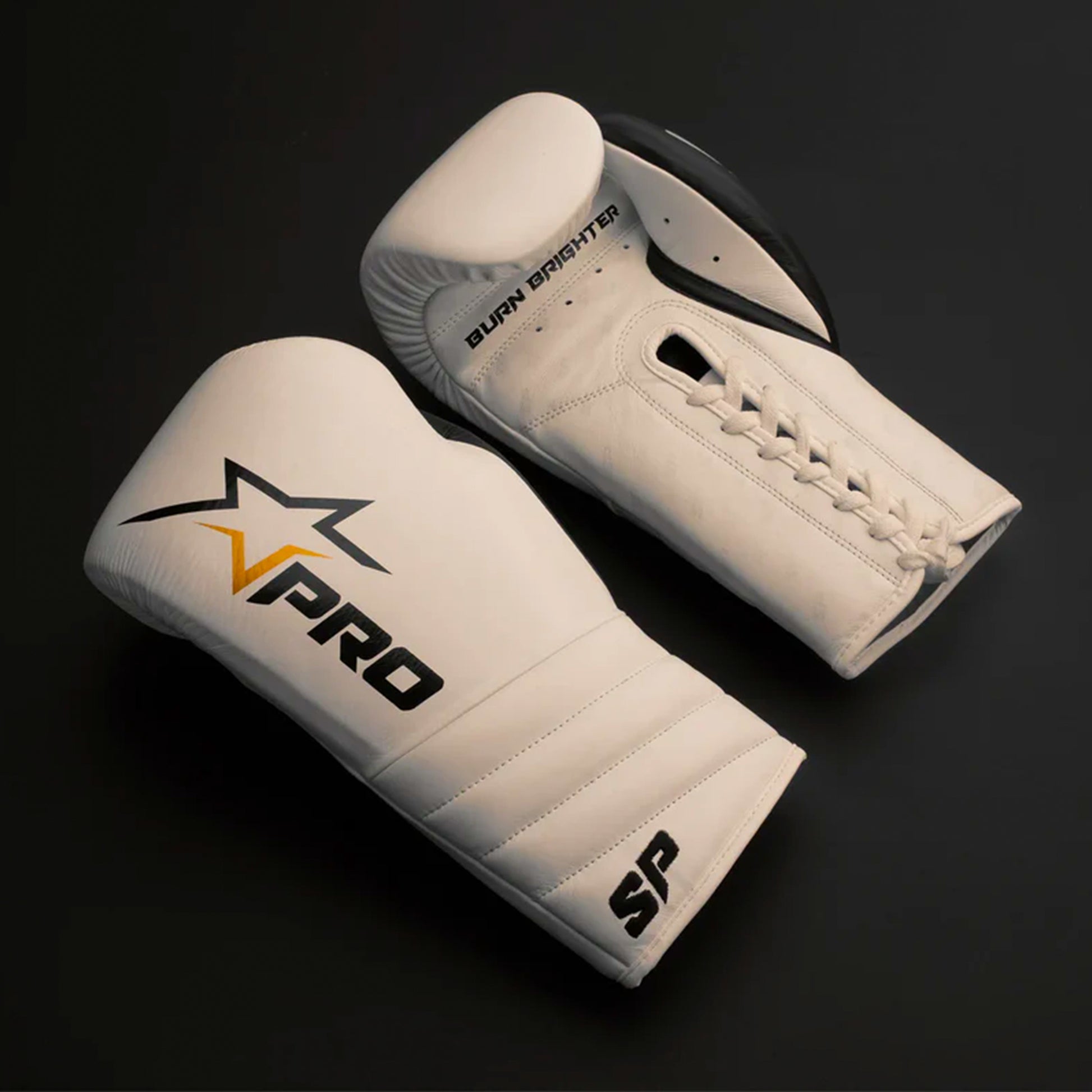 Professional Fight Gloves White