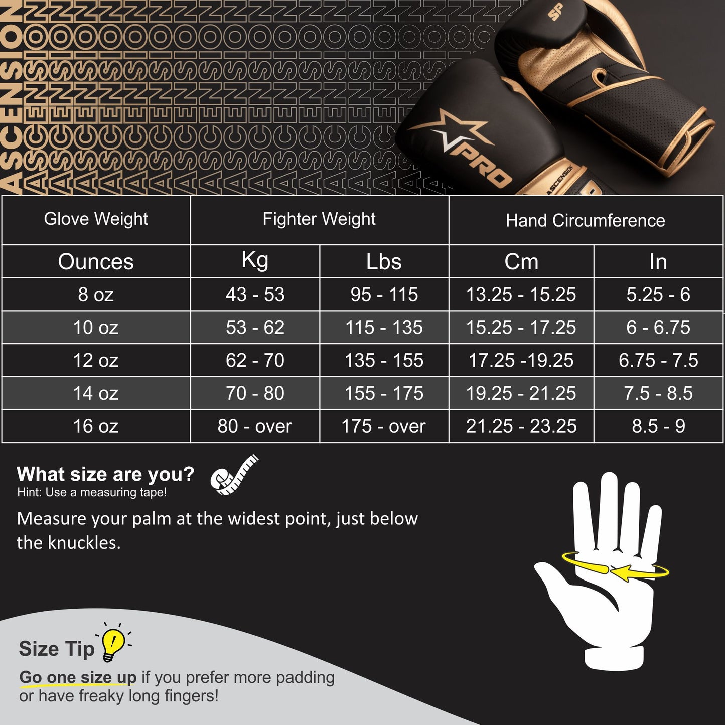 Ascension Training Gloves