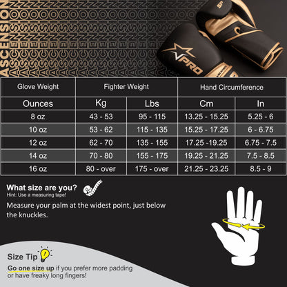 Ascension Training Gloves